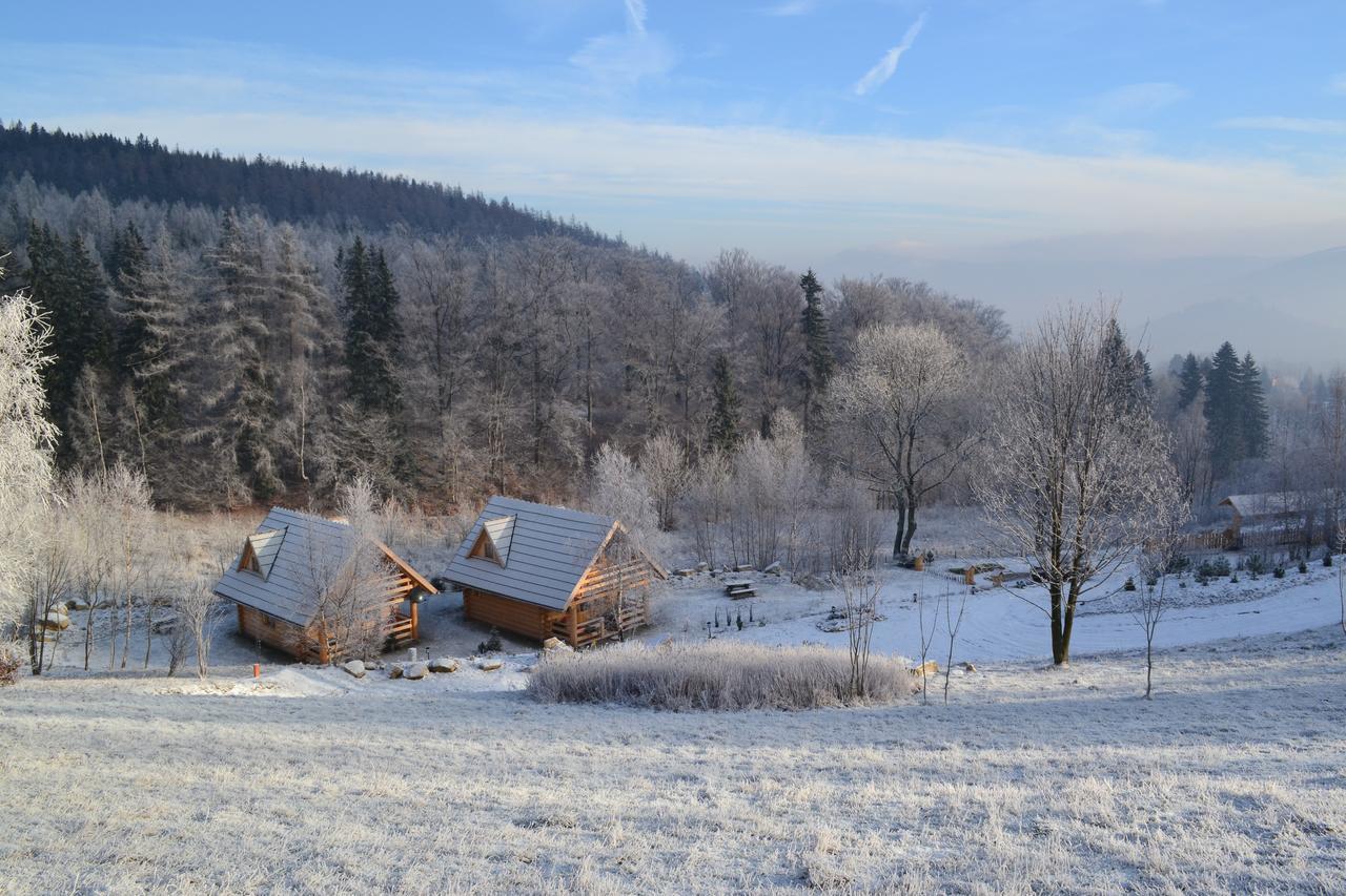 Lesniowka W Karpaczu Chalet *